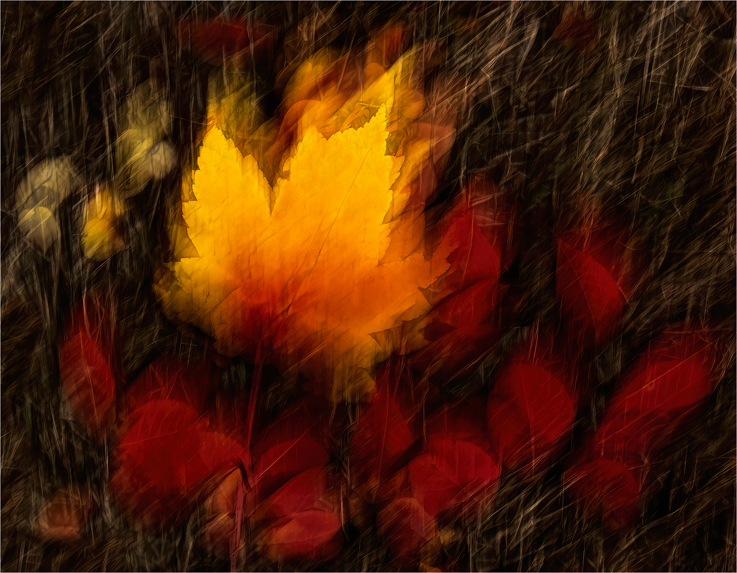 1st PrizeAssigned Pictorial In Class 3 By Beth Fabey For Fall Colors On Fire FEB-2024.jpg